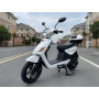 Exquisite 500W 48V Electric Scooter Pedal Assist Two-Wheel Disk Brake Quad Bike with Lithium Battery for Adults Streetbike Type