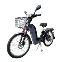 China Factory Direct 48V 350W Electric Cargo Bike Retro Classic E-City Delivery Bike with Battery in Frame