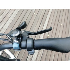48V 500W cruiser beach electric bike 26 inch electric cycle bicycle retro bike e bicycle electric with polly battery