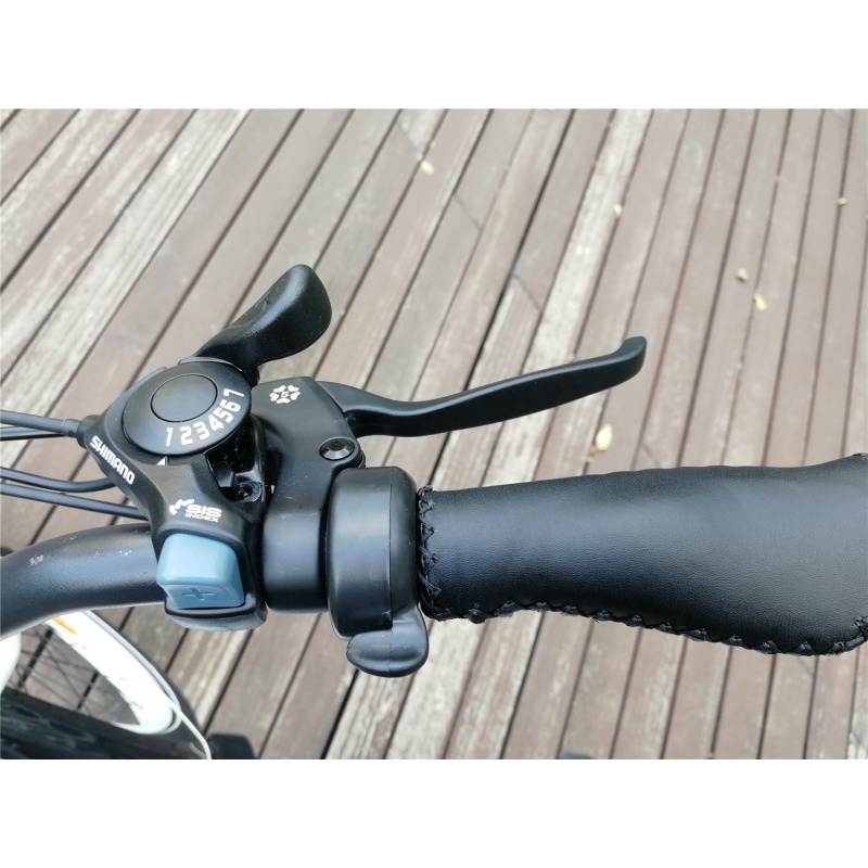 48V 500W cruiser beach electric bike 26 inch electric cycle bicycle retro bike e bicycle electric with polly battery