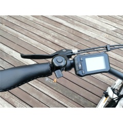 48V 500W cruiser beach electric bike 26 inch electric cycle bicycle retro bike e bicycle electric with polly battery