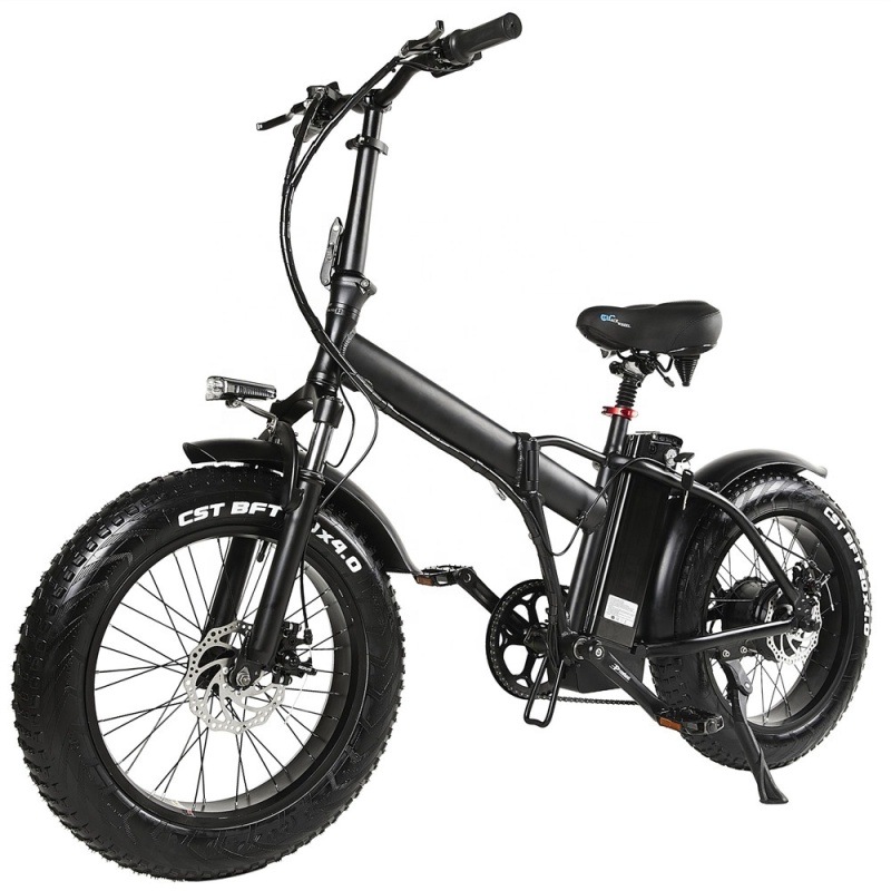 48V 500W Fat Tire Electric Bike 20