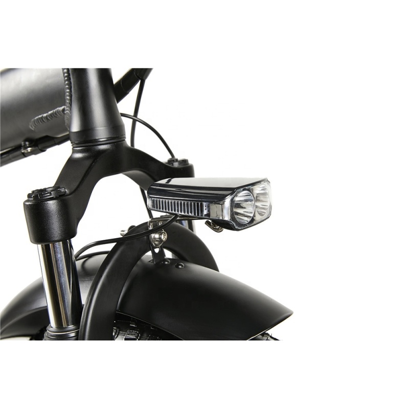 48V 500W Fat Tire Electric Bike 20