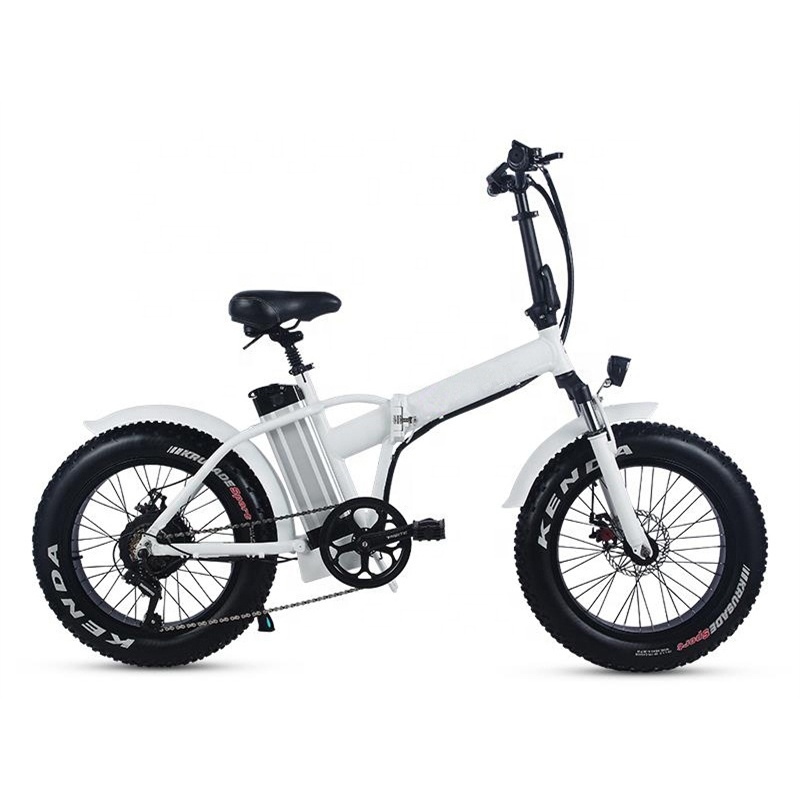 48V 500W Fat Tire Electric Bike 20