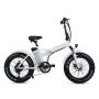 48V 500W Fat Tire Electric Bike 20