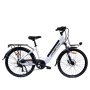 24 Inch Aluminum Alloy Frame Electric City Bike 250W 36V Dual Lithium Battery Long Range Delivery Ebike 26 Inch Optional