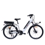 24 Inch Aluminum Alloy Frame Electric City Bike 250W 36V Dual Lithium Battery Long Range Delivery Ebike 26 Inch Optional