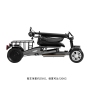 36V 300W Foldable Electric Mobility Scooter 4 Wheel Light Weight Elderly-friendly Reverse Button 500W Motor Power Front Brake