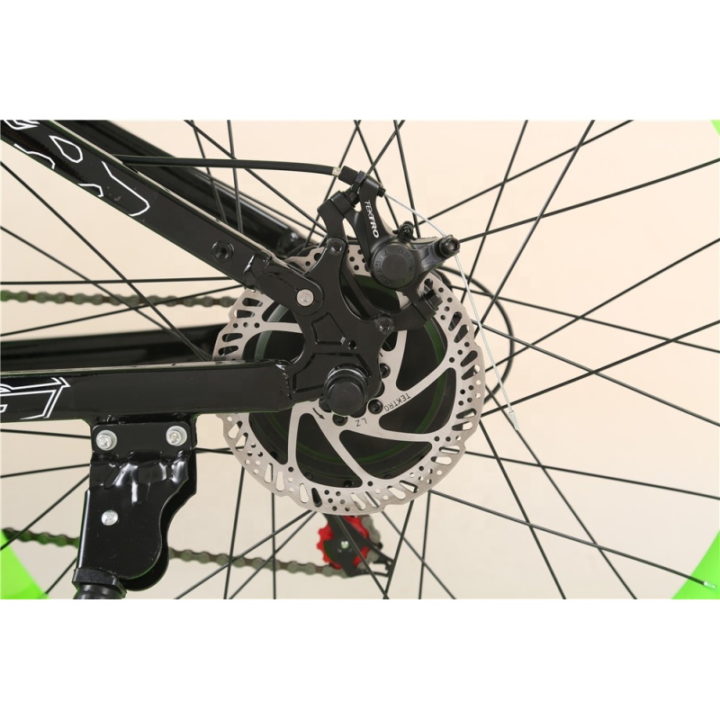 low cost 48V 12.8Ah lithium battery china electric bike electric bike from china electric motor bike fat tire