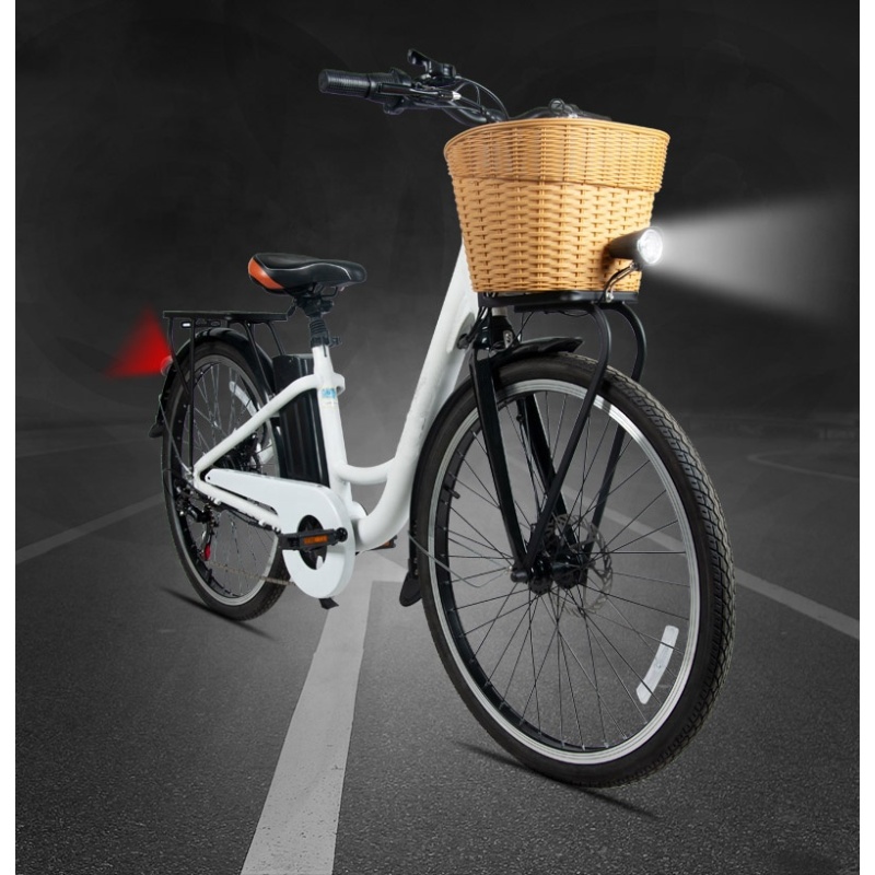 Cheap 250W 36V Lithium Battery Electric Bike Bicycle Electric Motorized Bicycle Read to Ship