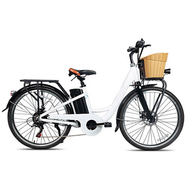 Cheap 250W 36V Lithium Battery Electric Bike Bicycle Electric Motorized Bicycle Read to Ship