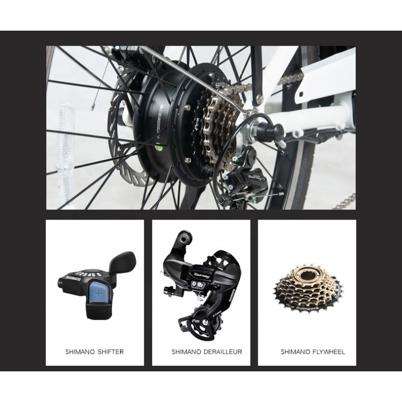 Cheap 250W 36V Lithium Battery Electric Bike Bicycle Electric Motorized Bicycle Read to Ship