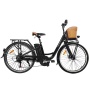 Cheap 250W 36V Lithium Battery Electric Bike Bicycle Electric Motorized Bicycle Read to Ship