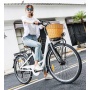 Cheap 250W 36V Lithium Battery Electric Bike Bicycle Electric Motorized Bicycle Read to Ship