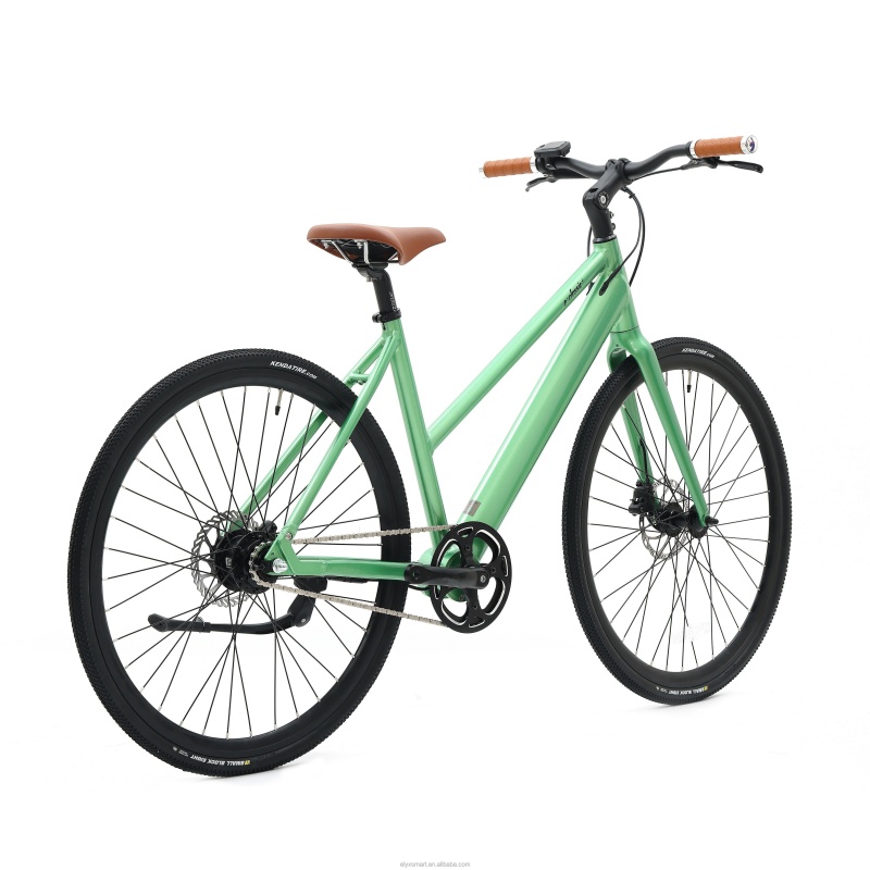 New Design Decent Fixed Gear Bikes Electric Walking Bike With 36V 7Ah LG Hidden Battery Belt Drive Ebike With Torque Sensor