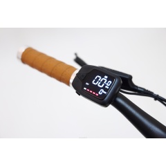 New Design Decent Fixed Gear Bikes Electric Walking Bike With 36V 7Ah LG Hidden Battery Belt Drive Ebike With Torque Sensor
