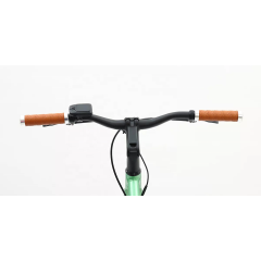 New Design Decent Fixed Gear Bikes Electric Walking Bike With 36V 7Ah LG Hidden Battery Belt Drive Ebike With Torque Sensor