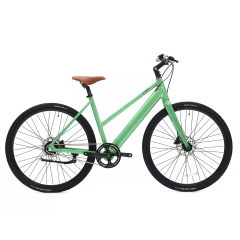 New Design Decent Fixed Gear Bikes Electric Walking Bike With 36V 7Ah LG Hidden Battery Belt Drive Ebike With Torque Sensor