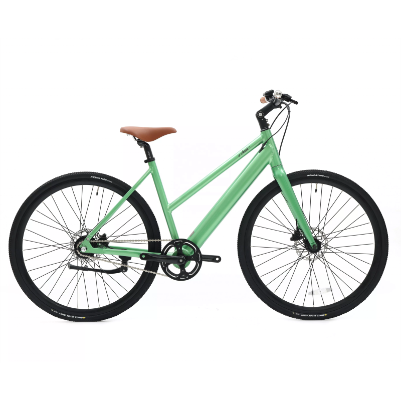 New Design Decent Fixed Gear Bikes Electric Walking Bike With 36V 7Ah LG Hidden Battery Belt Drive Ebike With Torque Sensor