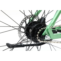 New Design Decent Fixed Gear Bikes Electric Walking Bike With 36V 7Ah LG Hidden Battery Belt Drive Ebike With Torque Sensor