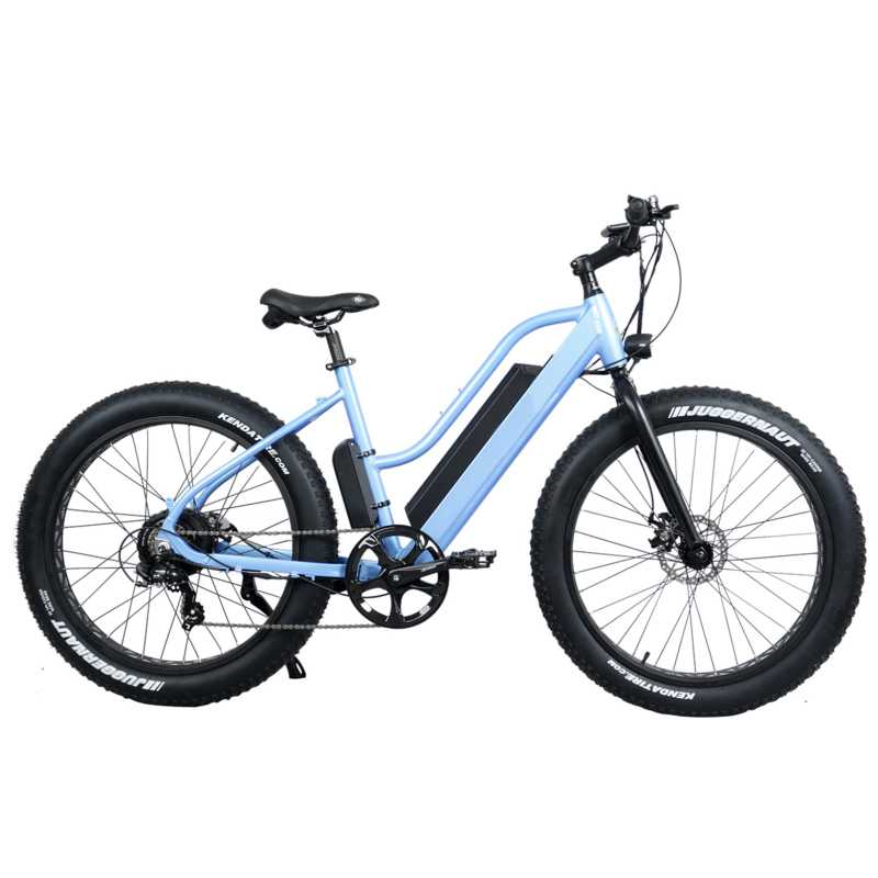 CE Certification Cheap Fat Tire Lady Bicycle Electric Fast 48V 500W Electric Bike Adult With Built In Battery