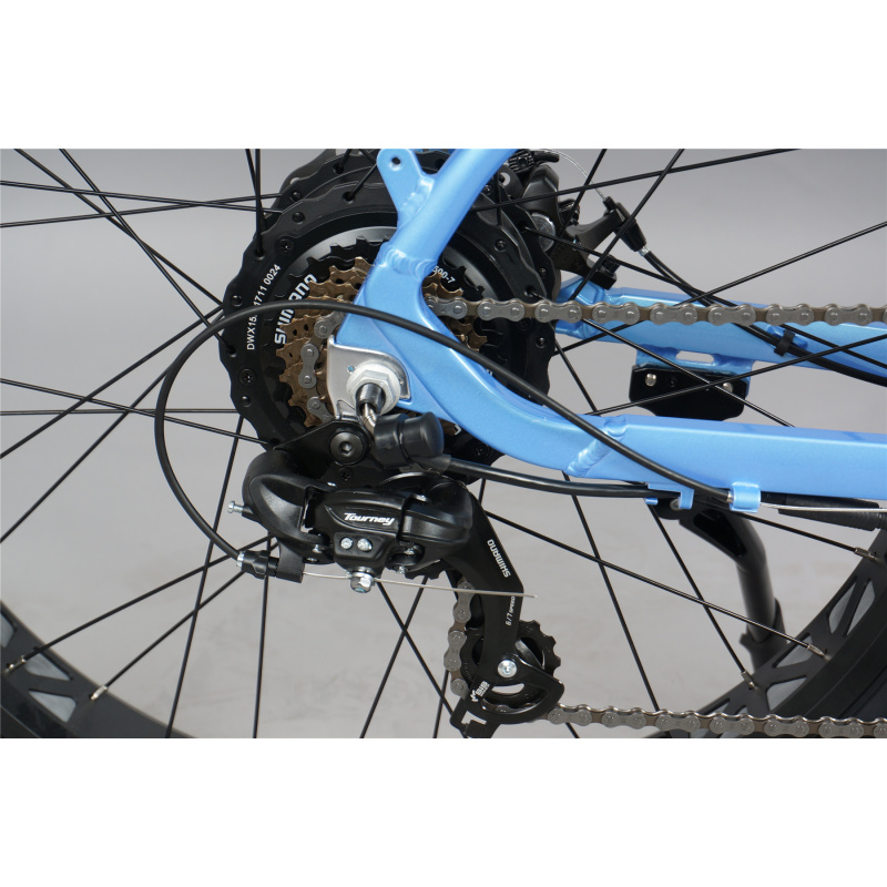 CE Certification Cheap Fat Tire Lady Bicycle Electric Fast 48V 500W Electric Bike Adult With Built In Battery