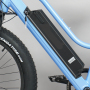 CE Certification Cheap Fat Tire Lady Bicycle Electric Fast 48V 500W Electric Bike Adult With Built In Battery