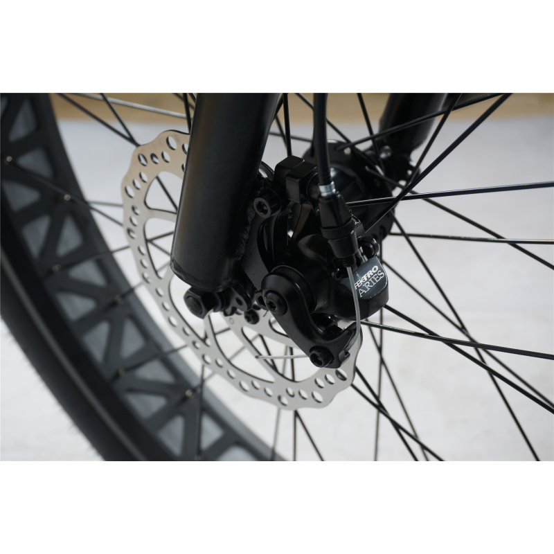 CE Certification Cheap Fat Tire Lady Bicycle Electric Fast 48V 500W Electric Bike Adult With Built In Battery