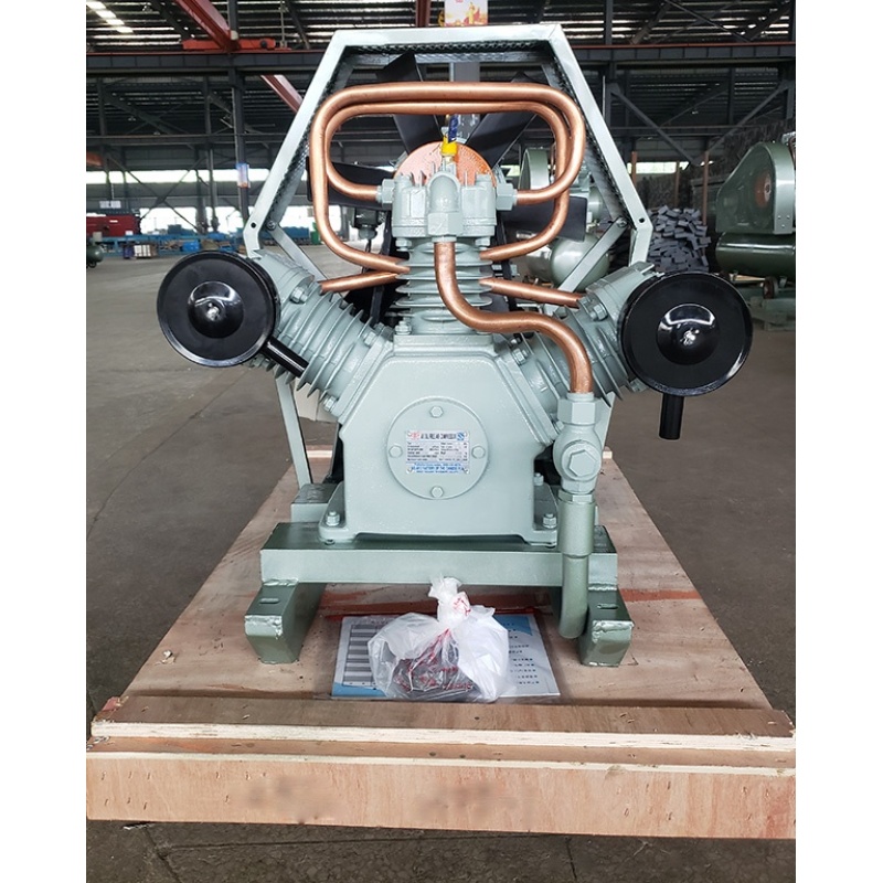 Israel Customized 7.5Kw 10HP Three Cylinders Cast Iron Pump Oil-free Reciprocating Piston Air Compressor