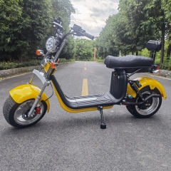 Citycoco smart self balance electric scooter 18inches Europe in stock