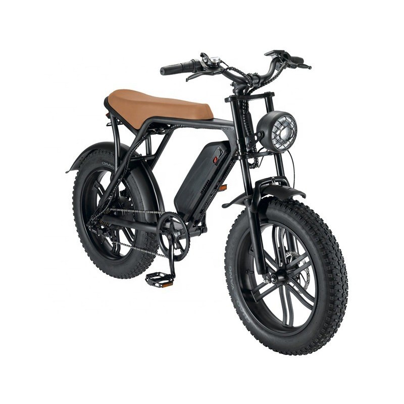 Eu Usa 1000w Electric Bike 48v15ah Lithium Battery Ebike 20 Inch Fat Tire Electric Mountain Bicycle Folding Electric Bicycle