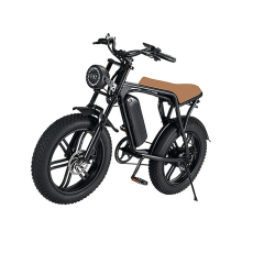 Eu Usa 1000w Electric Bike 48v15ah Lithium Battery Ebike 20 Inch Fat Tire Electric Mountain Bicycle Folding Electric Bicycle