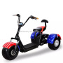 Nzita 3 wheel citycoco electric scooter tricycle