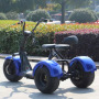 Nzita 3 wheel citycoco electric scooter tricycle