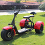 Nzita 3 wheel citycoco electric scooter tricycle