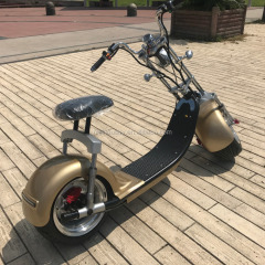12 Inch standard version folding E bike 2 wheel electric scooter with cheap price made in china