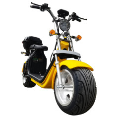 EEC COC classic hot selling 2 wheel electric scooter citycoco 1000w- 2000w cheap price motorcycle