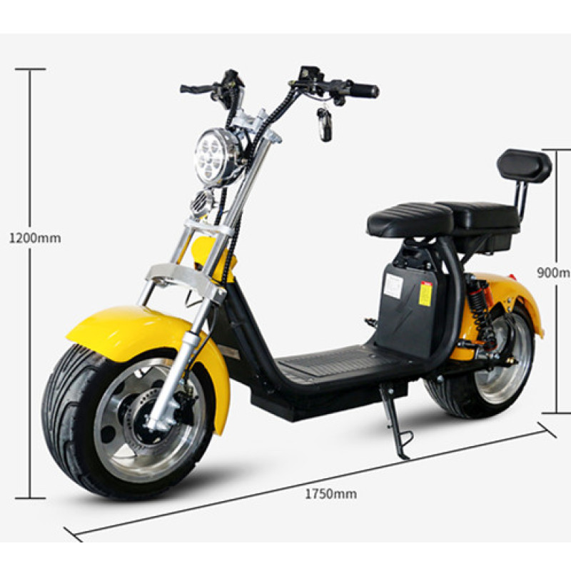 EEC COC classic hot selling 2 wheel electric scooter citycoco 1000w- 2000w cheap price motorcycle