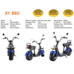 X12 factory customized 1000w electric motorcycle APP/rear light City coco scooter 2000w electric motorcycle