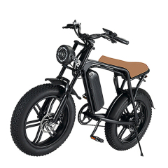 Sport Pedal Assist Ebike Electric Bicycle Electric Cycle Mountain Bike Retro Fat Tire Electric Bike 750w Fatbikes Sport Pedal Assist Ebike Electric Bicycle Electric Cycle Mountain Bike Retro Fat Tire Electric Bike 750w Fatbikes