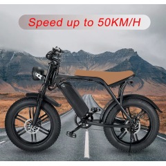 Sport Pedal Assist Ebike Electric Bicycle Electric Cycle Mountain Bike Retro Fat Tire Electric Bike 750w Fatbikes