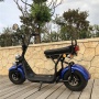 Citycoco in Holland 12 Inch 2000w City Coco electric skateboard scooter/electric Fat Bike/ Mini Kids Adults Electric Motorcycle