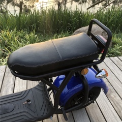 Citycoco in Holland 12 Inch 2000w City Coco electric skateboard scooter/electric Fat Bike/ Mini Kids Adults Electric Motorcycle