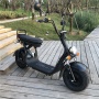 Citycoco in Holland 12 Inch 2000w City Coco electric skateboard scooter/electric Fat Bike/ Mini Kids Adults Electric Motorcycle