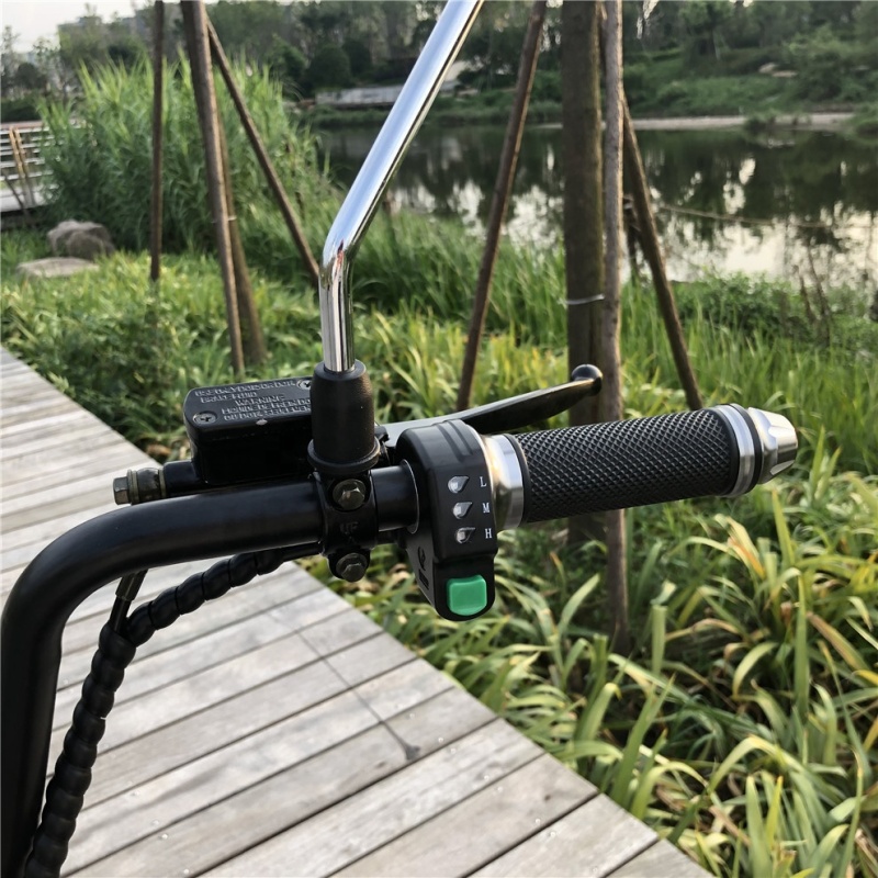 Citycoco in Holland 12 Inch 2000w City Coco electric skateboard scooter/electric Fat Bike/ Mini Kids Adults Electric Motorcycle