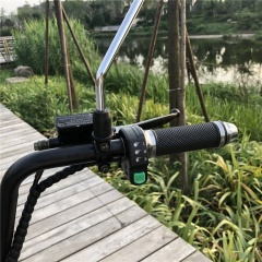 Citycoco in Holland 12 Inch 2000w City Coco electric skateboard scooter/electric Fat Bike/ Mini Kids Adults Electric Motorcycle
