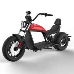 Luqi HL6.0 Europe Warehouse 2 Seat Mobility Scooter Different Models Of 1500w 2000w Smart Electric Scooter Citycoco