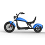 Luqi HL6.0 Europe Warehouse 2 Seat Mobility Scooter Different Models Of 1500w 2000w Smart Electric Scooter Citycoco