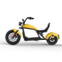 Luqi HL6.0 Europe Warehouse 2 Seat Mobility Scooter Different Models Of 1500w 2000w Smart Electric Scooter Citycoco