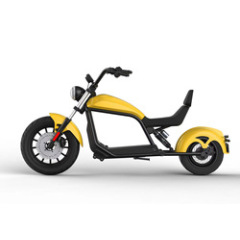 Luqi HL6.0 Europe Warehouse 2 Seat Mobility Scooter Different Models Of 1500w 2000w Smart Electric Scooter Citycoco